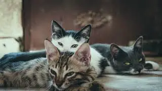 Jangan Suka Senyum Sendiri