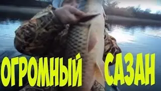 Рыбалка. Ловим сазана на джиг. Fishing. We catch carp on the jig .