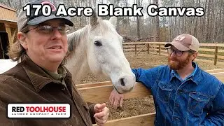 How Do You Start Your Homestead With 170 Acres? Where to Begin??