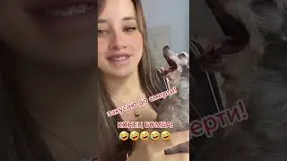 🤣 Закусала до смерти 🤣 | ТикТок #shorts