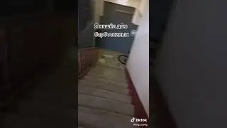 Дом барбоскиных найден!ШОООК