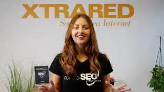 Curso SEO Profesional (Edición 2023)