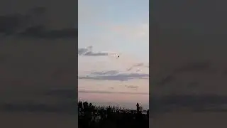 Стрижи на закате! #shorts