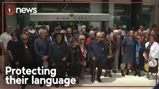Waikato-Tainui taking on the Government | 1News