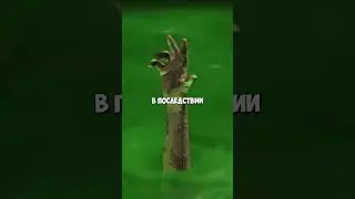 Ты не заметил мутантов в сериале Fallout