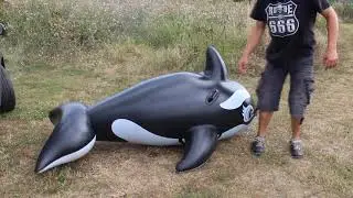 inflatable whale Pop nature