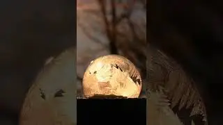 Popping the golden bubble 🫧