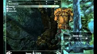 прохождение The Elder Scrolls 5.Skyrim (005)