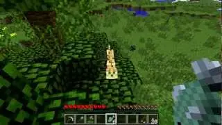 Minecraft Mobs: Ocelots and Cats