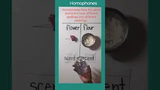 Homophones || Key experience || #shorts