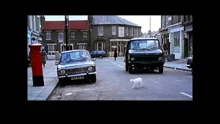 Best Cat Cameo on Minder 1979
