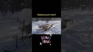 Правильный ответ! Мясорубка 😅