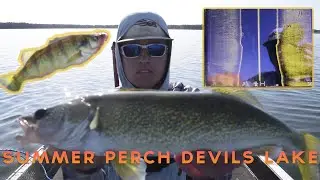 SUMMER PERCH DEVILS LAKE, ND