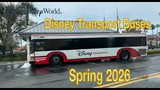 Disney Transport Buses | Spring 2026