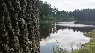 ТИХАЯ КИРИЧАНКА 🏞️покатушки на любимой вело- машине🚲💯👍...