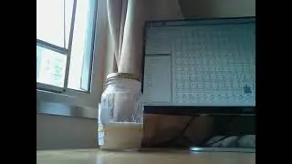 Day 22 sourdough feeding time lapse