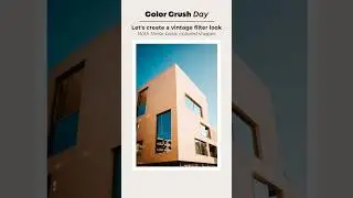 Create Your Own Vintage Filter Color Palette in Canva!  