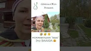 Можевельник обыкновенный стриженный