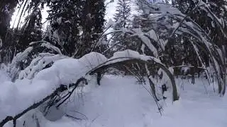 Абрамцевская лыжня 24 февраля 2018