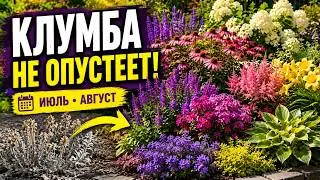 Цветник непрерывного цветения: что подсадить сейчас, чтобы радовало в июле и августе!