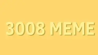 3008- meme (Check Desc) // FW