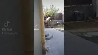 готовый результат, фасад