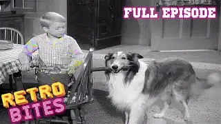 Lassie | A Christmas Story | Christmas Special | Full Episodes  🐕🎄