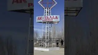 31 августа 2025 г.