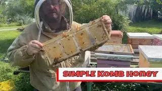 A SIMPLE way to make COMB honey | Beekeeping 🍯
