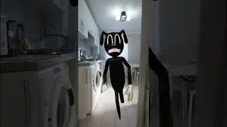 Картун Кэт против Картун Дог /Cartoon Cat VS Cartoon Dog 