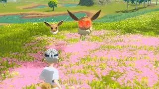 (Alpha) Eevee Location - Pokémon Legends: Arceus