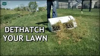 How To DETHATCH And FIX Your LAWN