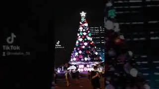CUBAO GIANT CHRISTMAS TREE MULING NAGKAKULAY ANG PASKO