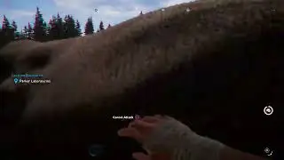 When MooMoo's Fly