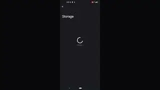 Xiaomi 11 Lite 5G NE Derpfest Android 13