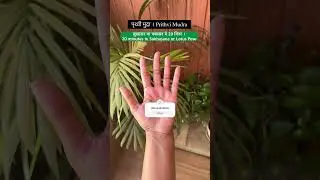 बालों का झड़ना ख़त्म Prithvi Mudra #yogastation #hastamudras #mudrasbenefits #mudra  #yogashorts