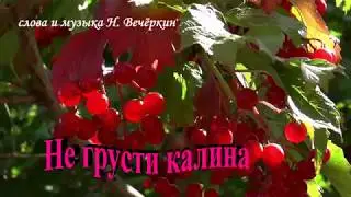 Не грусти калина  Слова и музыка Н  Вечёркин
