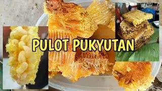 Gaano nga ba kahirap kunin ang Pulot Pukyutan