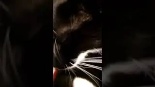 про альбом 3