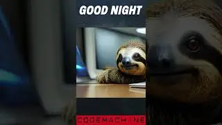 🌙Good Night Sloth😴