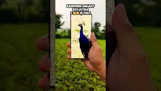 Samsung Galaxy S22 Ultra Zoom Test 