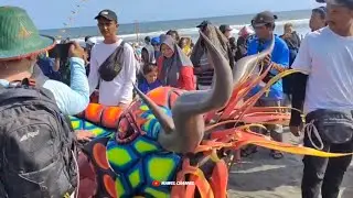 Top!! 4 Layangan Naga Viral