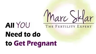 The Fertility Expert - All You Need to Do to Get Pregnant