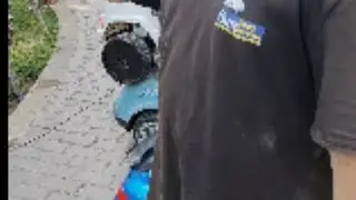Стала искать того мальчика, который приволок мешок с избитой собакой