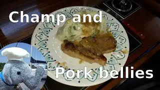Champ and Pork Bellies