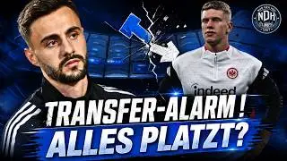 HSV NEWS! DOUBLE TRANSFER SHOCK! Coach on the hot seat – Is the Vieira deal falling through too?