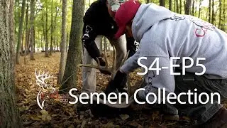 ConQuest 200. Season 4. Episode 5. Semen Collection.