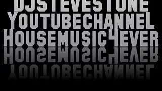 Funky Disco Vocal House (Vinly Mix) by DJ Steve Stone (2021)