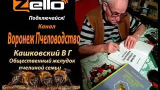 Общественный желудок пчелиной семьи - Кашковский В Г