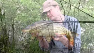 Method Feeder Fishing For Carp